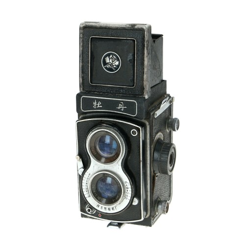 Camara Reflex Seagull