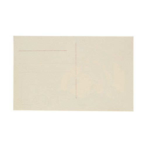 Postal ilusion optica Napoleon I