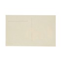 Postal ilusion optica Napoleon I