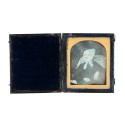 Daguerrotipo retrato anciana en carcasa
