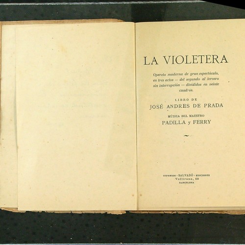 Libro ' la Violetera'