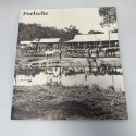 Libro 'Foelsche'