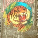 MAGIC IMAGINES THE ART  OF HAND - PAINTED AND PHOTOGRAPHIC LANTERN SLIDES   1116419