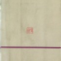 Libro “Cámaras y películas” (カメラ・フィルム)