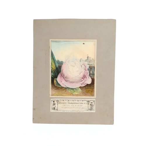 Optical hand-colored lithograph game" Royal Rose of England" 