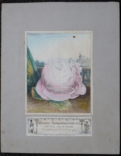 Optical hand-colored lithograph game" Royal Rose of England" 