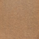 Libro: Jubilé Louis Lumière