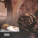 Libro: lleno de vida
