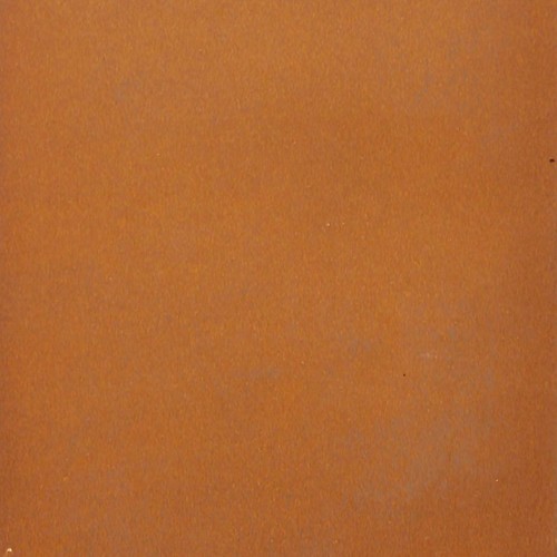 Libro: Buster contra la infección sentimental Colección: Cuadernos Anagrama
