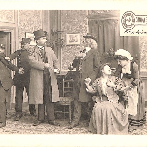 Fotografia: “Herbe vénéneuse”