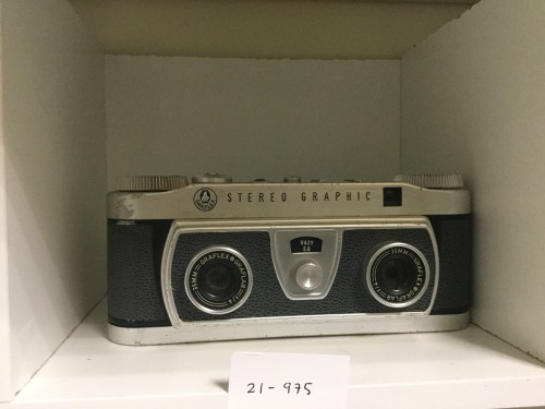 Graphic stereo camera