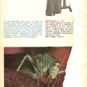 Libro: Cinéphotoguide de Grenier Natkin