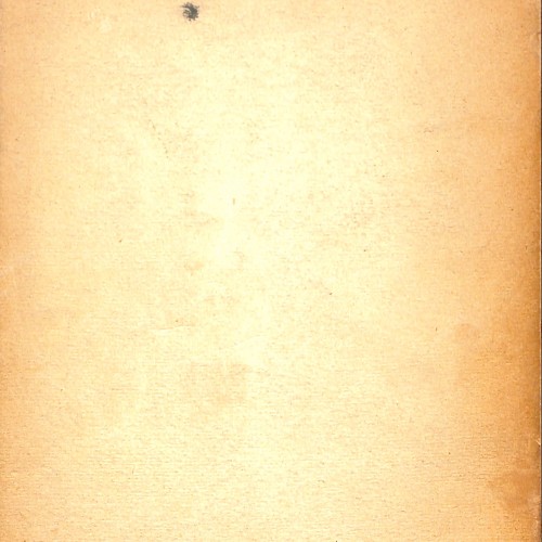 Cinema Muto. Dalle origini al 1930