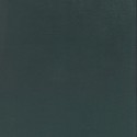 2 CCh – Enciclopedia temática / Diccionario enciclopédico