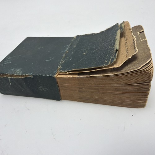 "Fotografías Animadas", (Cinematógrafo en la mano), de Benjamin Miralles