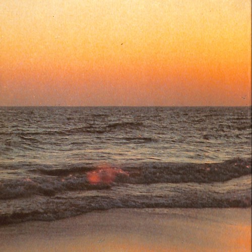 Libro - Mecanoscrit del Segon Origen - Manuel de Pedrolo - 1974–1985