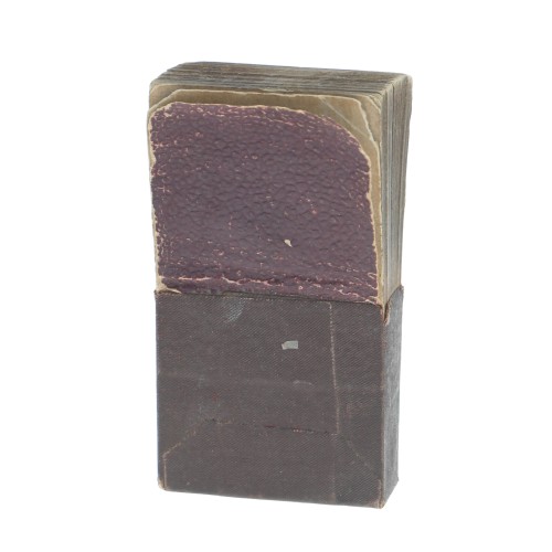 "Fotografías Animadas", (Cinematógrafo en la mano), de Benjamin Miralles