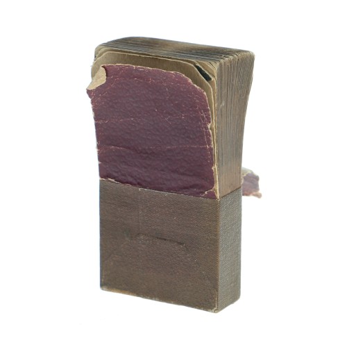 "Fotografías Animadas", (Cinematógrafo en la mano), de Benjamin Miralles