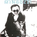 Libro Gianfranco Mingozzi