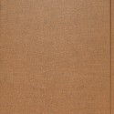 The Big V: A History of the Vitagraph Company