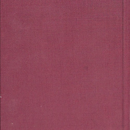 Libro: Le Roman d’une Étoile : La Vie Amoureuse de Rudolph Valentino**