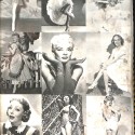 Libro:The Fox Girls