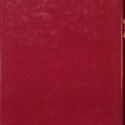 Libro:  La saga de los Rius: El viudo Rius
