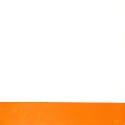 Libro; El nostre Sindicat Agrícola en plena postguerra 1940–1956