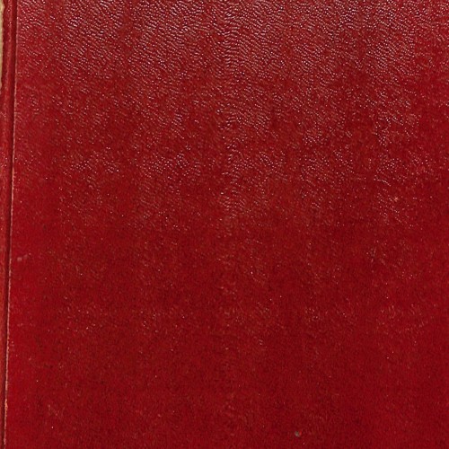 Libro; Noches en Zanzoula