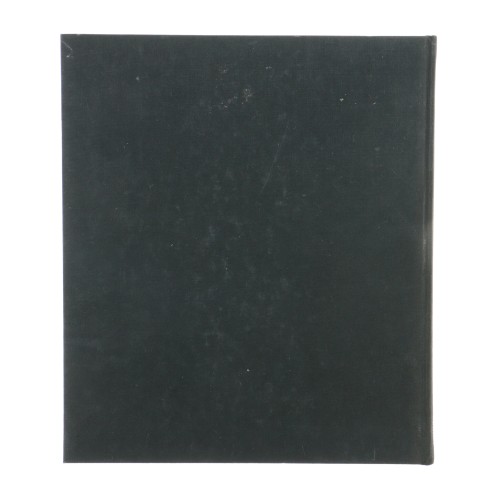 Libro Nestor Almendros - Direttore della fotografia (Italiano)