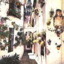 Libro:  Córdoba