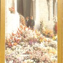 Libro:  Grace Kelly: Su vida, su amor, su sueño....