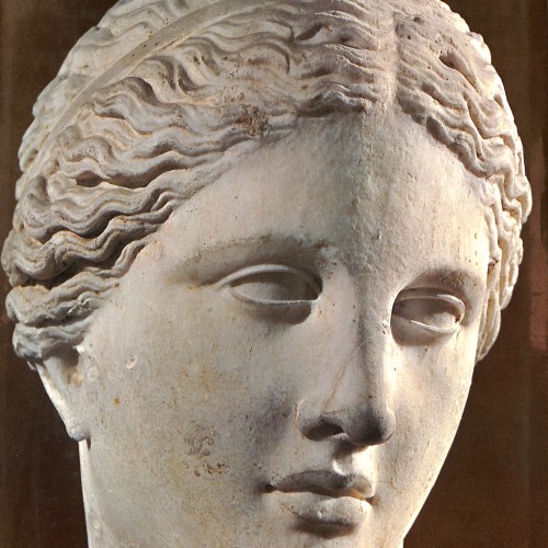 Libro: Vatican Museums Rome.