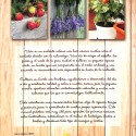 Libro:  El Huerto en Casa.