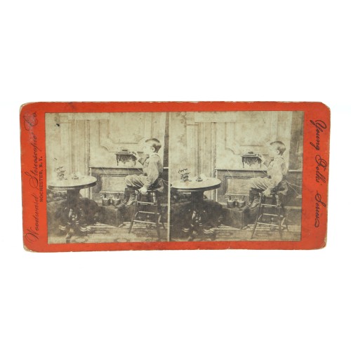 Vista estereoscopica Woodward Stereoscopic Co. - Young Folks Series