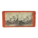 Vista estereoscopica Woodward Stereoscopic Co. - Young Folks Series