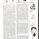 Libro: Dictionnaire du Cinéma et de la Télévision.II
