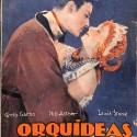 REVISTA: Orquídeas salvajes