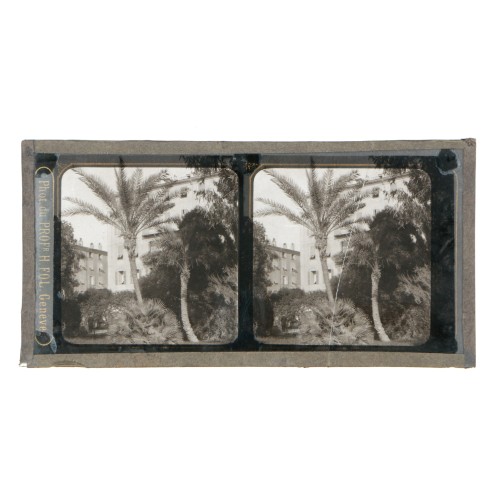 Vista estereoscopica cristal - Phot du Prof. H.Fol. Geneve