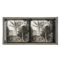 Vista estereoscopica cristal - Phot du Prof. H.Fol. Geneve