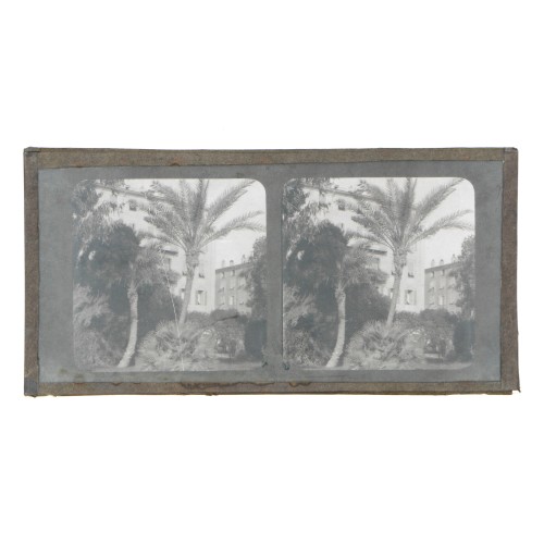 Vista estereoscopica cristal - Phot du Prof. H.Fol. Geneve