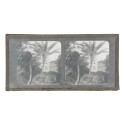Vista estereoscopica cristal - Phot du Prof. H.Fol. Geneve
