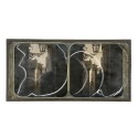 Vista estereoscopica cristal - Phot du Prof. H.Fol. Geneve