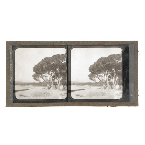 Vista estereoscopica cristal - Phot du Prof. H.Fol. Geneve