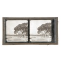 Vista estereoscopica cristal - Phot du Prof. H.Fol. Geneve