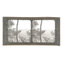 Vista estereoscopica cristal - Phot du Prof. H.Fol. Geneve