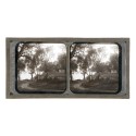 Vista estereoscopica cristal - Phot du Prof. H.Fol. Geneve