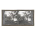 Vista estereoscopica cristal - Phot du Prof. H.Fol. Geneve
