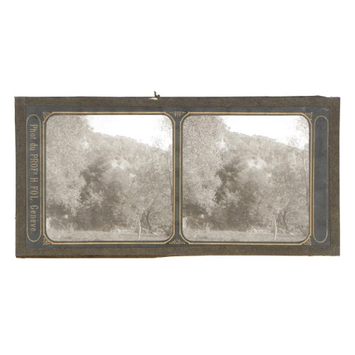 Vista estereoscopica cristal - Phot du Prof. H.Fol. Geneve