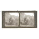 Vista estereoscopica cristal - Phot du Prof. H.Fol. Geneve
